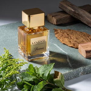 Parfum La'Venti cu note de menta, note verzi si lemn de cedru